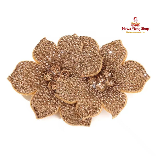 Broches / barrette  brillant N2