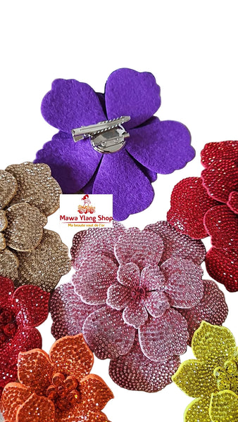 Broches/ barrette brillant N1