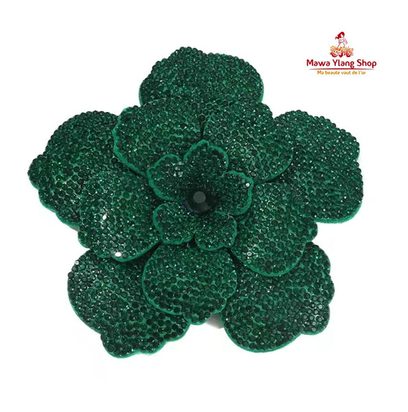 Broches/ barrette brillant N1