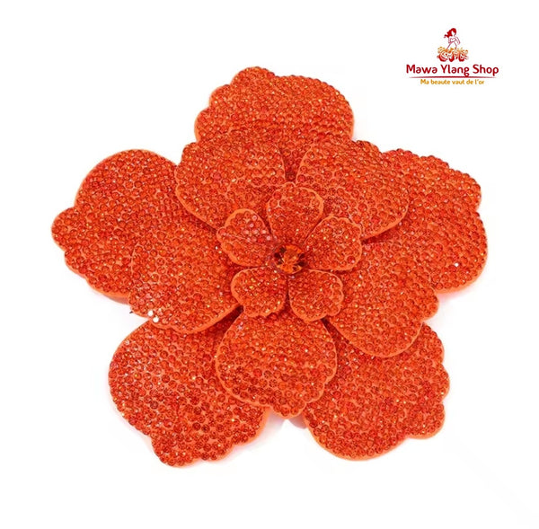 Broches/ barrette brillant N1