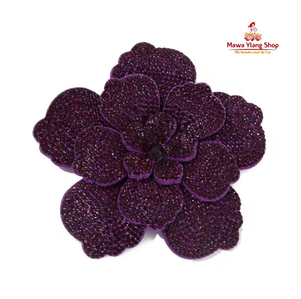 Broches/ barrette brillant N1