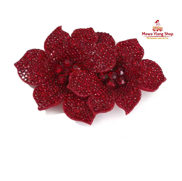 Broches / barrette  brillant N2