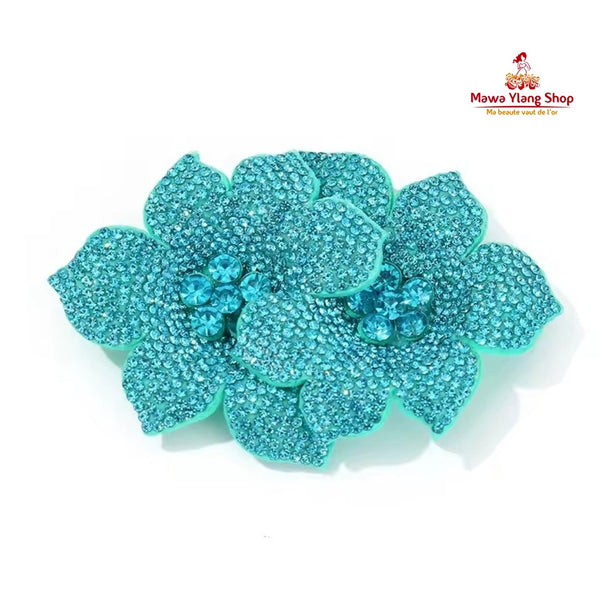 Broches / barrette  brillant N2