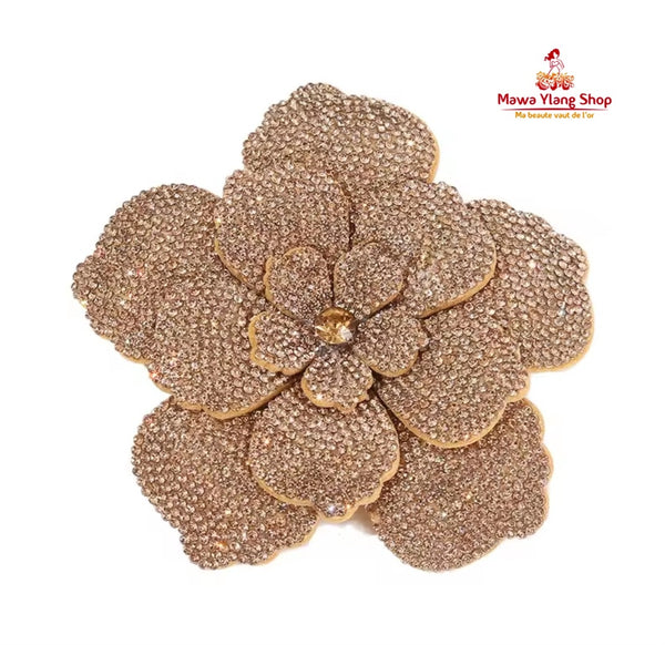 Broches/ barrette brillant N1