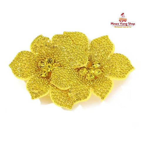 Broches / barrette  brillant N2