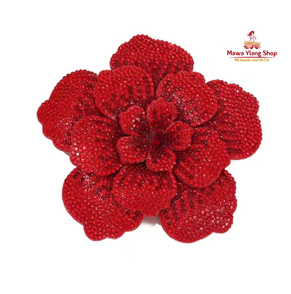 Broches/ barrette brillant N1