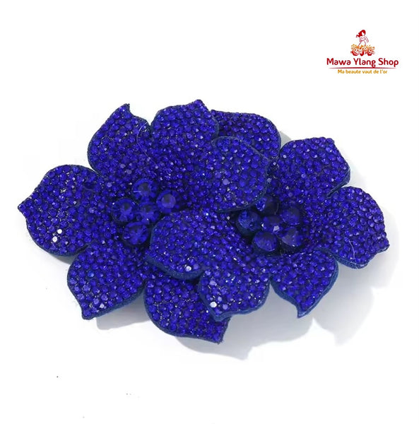 Broches / barrette  brillant N2