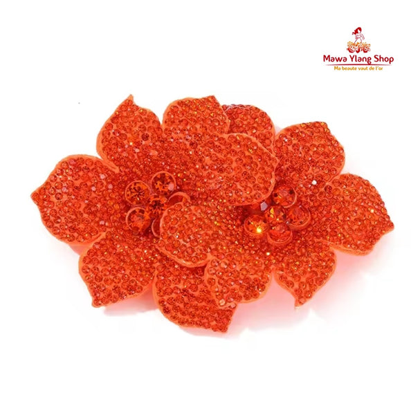 Broches / barrette  brillant N2