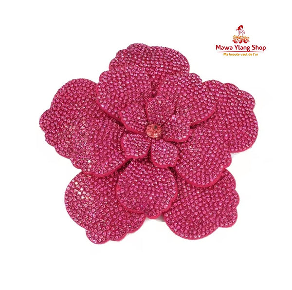 Broches/ barrette brillant N1