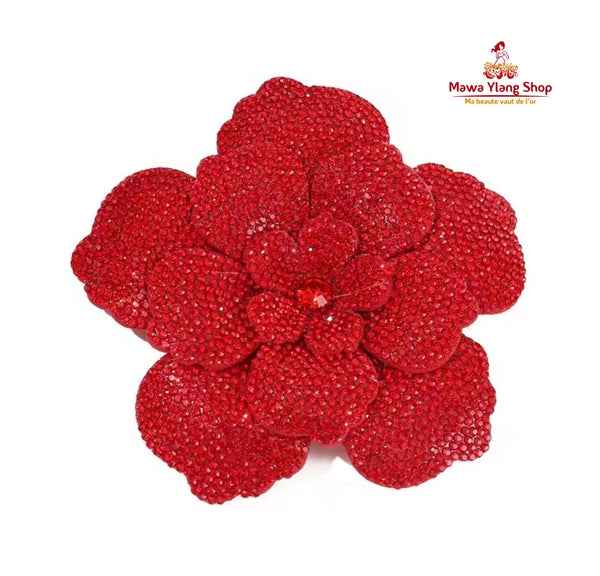 Broches/ barrette brillant N1