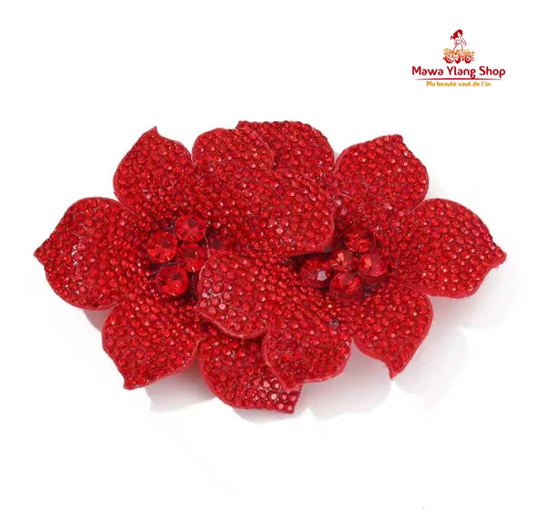 Broches / barrette  brillant N2