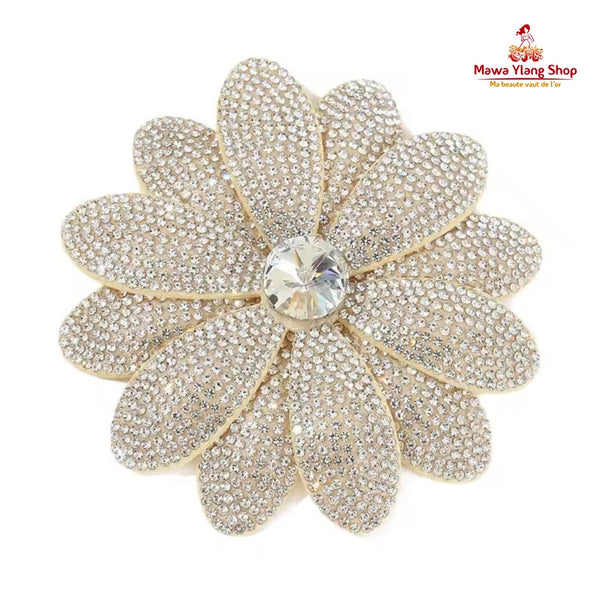 Broches/ barrette brillant N1