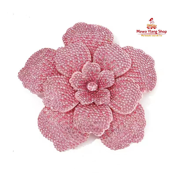 Broches/ barrette brillant N1